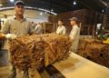 Acordaron incremento del kilo de tabaco para productores, que empezará a regir en marzo 25 2024