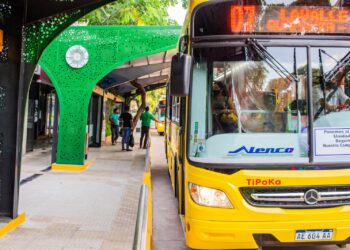Transporte urbano: tras licitación, se conoció a qué empresa adjudicaron las seis líneas 7 2024
