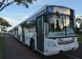 Transporte urbano: este sábado comenzará a operar la empresa San José SA 7 2024
