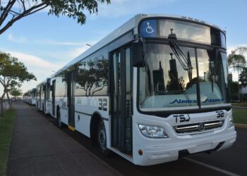 Transporte urbano: este sábado comenzará a operar la empresa San José SA 17 2024
