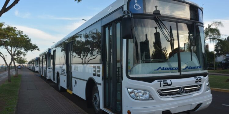 Transporte urbano: este sábado comenzará a operar la empresa San José SA 1 2024