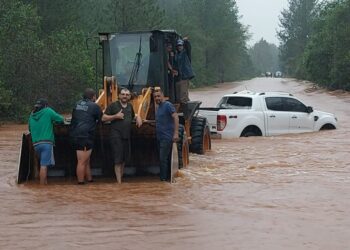 Diluvio en Misiones: con el arroyo desbordado, una pareja pedía auxilio prendida a un árbol y un intendente la rescató 21 2024