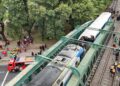 Diez personas sufrieron lesiones en el cráneo tras el choque de trenes en Palermo 11 2024