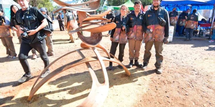 Jóvenes de la Facultad de Arte de Misiones ganaron el Premio Desafío en Chaco 1 2024