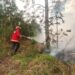 En la última semana, Bomberos combatieron 46 focos de incendio 3 2024